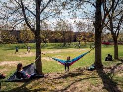 Picture of students sitting on hammocks on campus.