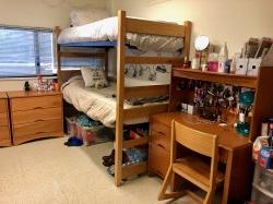 A Triple in Blanton Hall showcasing a bunk bed and desk.