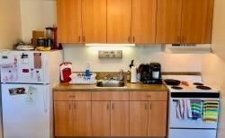 霍克十字区(Hawk crossing)一套多层公寓的厨房柜台空间、冰箱和炉子的景观.