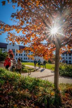 校园景色包括秋叶，成群的学生散步，阳光在树后闪耀.