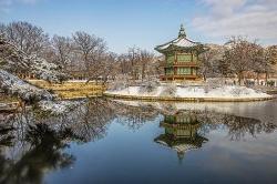 图为首尔的韩国宫